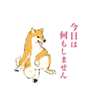 ヨガ柴さんの日常（個別スタンプ：1）