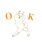 ヨガ柴さんの日常（個別スタンプ：6）