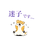 ヨガ柴さんの日常（個別スタンプ：12）