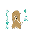 ヨガ柴さんの日常（個別スタンプ：13）