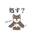 ヨガ柴さんの日常（個別スタンプ：14）