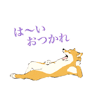 ヨガ柴さんの日常（個別スタンプ：15）