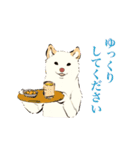 ヨガ柴さんの日常（個別スタンプ：18）