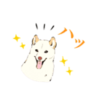 ヨガ柴さんの日常（個別スタンプ：21）