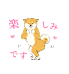 ヨガ柴さんの日常（個別スタンプ：24）