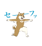 ヨガ柴さんの日常（個別スタンプ：28）
