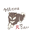 ヨガ柴さんの日常（個別スタンプ：30）