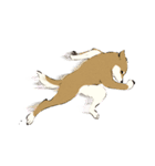 ヨガ柴さんの日常（個別スタンプ：33）