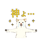 ヨガ柴さんの日常（個別スタンプ：35）