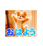 動くぬいぐるみスタンプ（個別スタンプ：2）