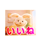 動くぬいぐるみスタンプ（個別スタンプ：3）