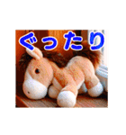 動くぬいぐるみスタンプ（個別スタンプ：13）