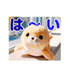 動くぬいぐるみスタンプ（個別スタンプ：17）