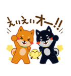 柴犬「ムサシ」62 応援＆前向き（個別スタンプ：3）