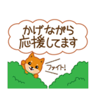 柴犬「ムサシ」62 応援＆前向き（個別スタンプ：5）