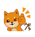 柴犬「ムサシ」62 応援＆前向き（個別スタンプ：7）