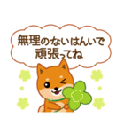 柴犬「ムサシ」62 応援＆前向き（個別スタンプ：9）