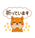 柴犬「ムサシ」62 応援＆前向き（個別スタンプ：12）
