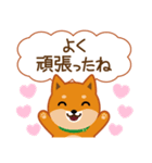柴犬「ムサシ」62 応援＆前向き（個別スタンプ：15）