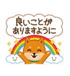 柴犬「ムサシ」62 応援＆前向き（個別スタンプ：17）