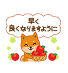 柴犬「ムサシ」62 応援＆前向き（個別スタンプ：18）