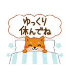 柴犬「ムサシ」62 応援＆前向き（個別スタンプ：20）