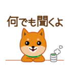 柴犬「ムサシ」62 応援＆前向き（個別スタンプ：21）