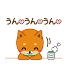 柴犬「ムサシ」62 応援＆前向き（個別スタンプ：23）