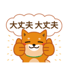 柴犬「ムサシ」62 応援＆前向き（個別スタンプ：24）