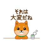 柴犬「ムサシ」62 応援＆前向き（個別スタンプ：27）