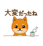柴犬「ムサシ」62 応援＆前向き（個別スタンプ：28）