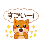 柴犬「ムサシ」62 応援＆前向き（個別スタンプ：31）