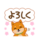 柴犬「ムサシ」62 応援＆前向き（個別スタンプ：32）