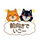 柴犬「ムサシ」62 応援＆前向き（個別スタンプ：33）