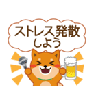 柴犬「ムサシ」62 応援＆前向き（個別スタンプ：34）