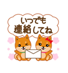 柴犬「ムサシ」62 応援＆前向き（個別スタンプ：36）