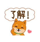 柴犬「ムサシ」62 応援＆前向き（個別スタンプ：37）