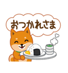 柴犬「ムサシ」62 応援＆前向き（個別スタンプ：38）
