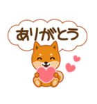 柴犬「ムサシ」62 応援＆前向き（個別スタンプ：39）