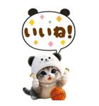 パンダ帽が可愛い猫 見やすい吹き出し BIG（個別スタンプ：9）