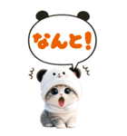 パンダ帽が可愛い猫 見やすい吹き出し BIG（個別スタンプ：14）