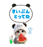 パンダ帽が可愛い猫 見やすい吹き出し BIG（個別スタンプ：18）