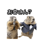 漫才師マーモット その2（個別スタンプ：4）