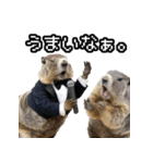 漫才師マーモット その2（個別スタンプ：5）