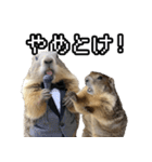 漫才師マーモット その2（個別スタンプ：7）