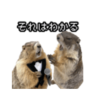 漫才師マーモット その2（個別スタンプ：8）