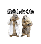 漫才師マーモット その2（個別スタンプ：10）
