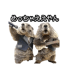漫才師マーモット その2（個別スタンプ：16）