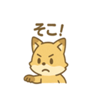 元気いっぱいキツネあいさつスタンプ（個別スタンプ：23）
