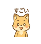 元気いっぱいキツネあいさつスタンプ（個別スタンプ：24）